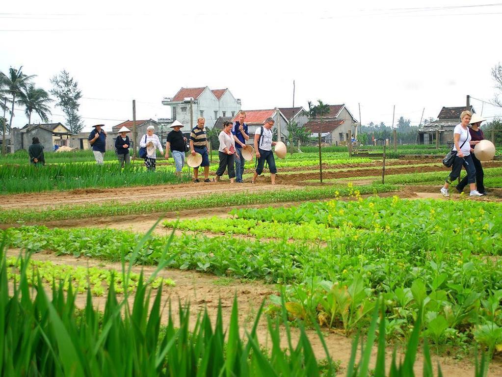 Green House Homestay Hoi An Eksteriør billede